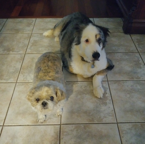 Meet your Posher, Joanna - Picture 5 of 11